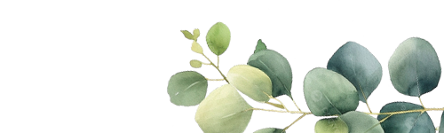Decoración botánica